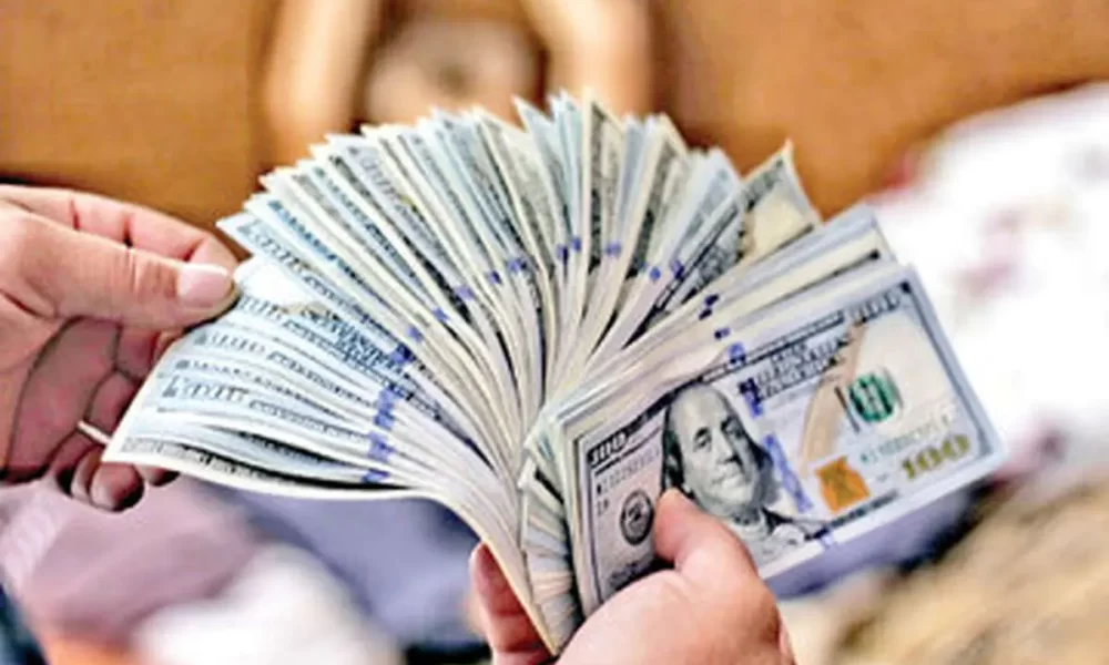 قیمت دلار و یورو امروز سه‌شنبه ۲ مرداد ۱۴۰۳