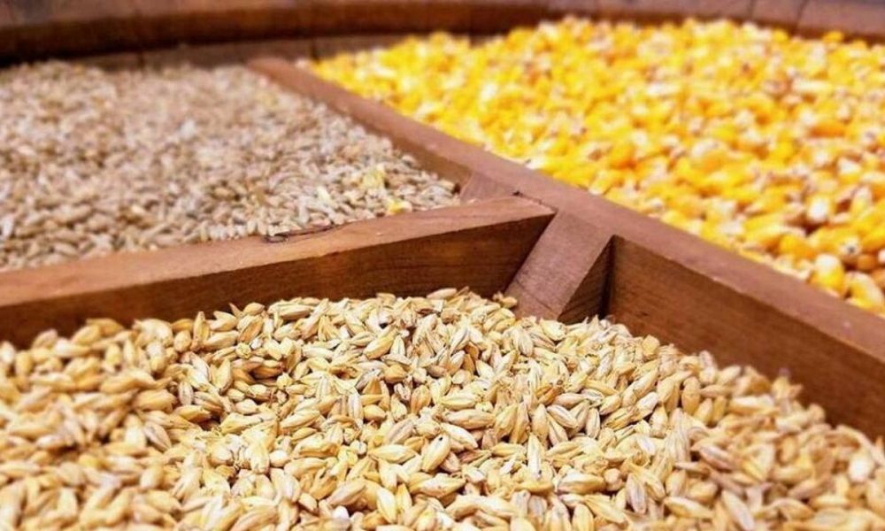 دام و طیور